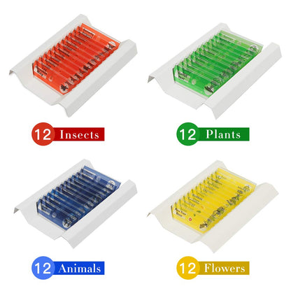 Microscope Slides Set (48pcs)