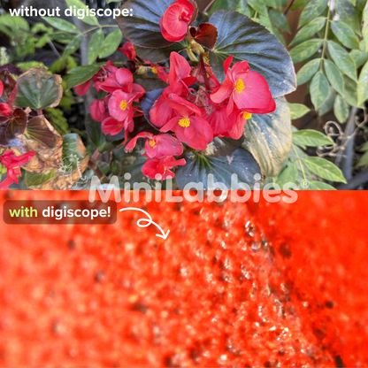 Digiscope™ Max - Digital Microscope